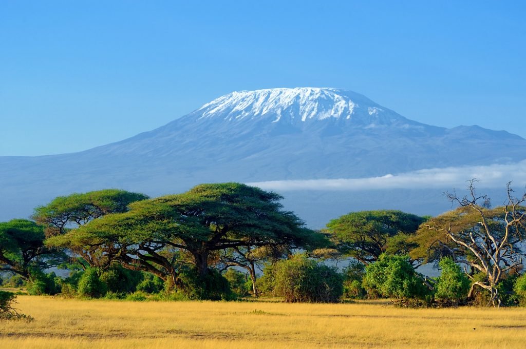 Kilimanjaro on african savannah